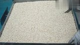 让人民都羡慕的中国粮食放大器。
