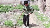 妻子进城当保姆每月寄回2万元，丈夫好奇偷偷去看望，结局太感动
