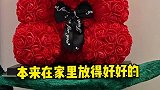 熊：我被一只猫玩芭比Q了