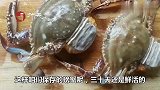 吃不完的螃蟹，是该放冰箱吗？大厨教一招，保存一个月还是鲜活
