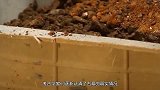 宁夏出土千年古墓，考古队挖到一半墓道坍塌，立马请军队来救援！