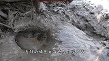 男子在地上涂满药膏，鱼像着魔了一样，自己就钻出来了
