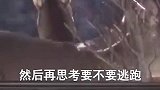 萌宠看，国家规定了要关爱室友～