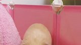 出来玩呀小猪猪