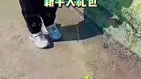 会钓鱼的和不会钓鱼的都沉默了