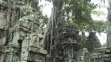 柬埔寨吴哥丽影 丛林吞噬的神庙