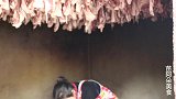 苗大姐熏腊肉，取腊肉，腊肉太漂亮，看着都心动