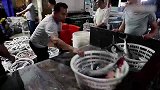 鲍鱼竟要150元一斤，宋祖儿开启讲价模式，让老板都抵挡不住