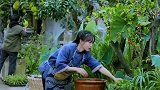 李子柒和长辈们一起洗菜包饺子，这才是最真实的农村生活