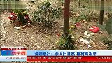 清明祭扫：亲人归自然 植树寄相思 广东早晨 120404