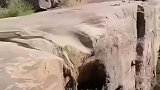 小伙不作不死，百米悬崖都敢跳水