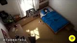 只需4小时就能建好的房子, 可以随时搬家, 你想住吗