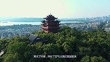 中国城市绿化那么好，可为什么美国城市都不种植草木，看完了解了