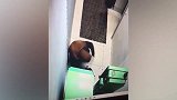 【俄罗斯】劫匪想炸开取款机 结果炸药引爆反被炸死