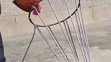 农村小伙的杀鸡发明，只给你个铁架子，能看出来是做什么用的吗