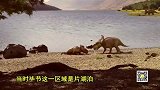 贵州毕节发现侏罗纪恐龙足迹