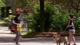 国外恶搞：路人帮忙看恶霸，我跟男朋友耍去咯