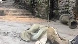 原来戏中的灯台是这样被打翻的
