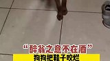醉翁之意不在酒，狗狗把鞋子咬烂