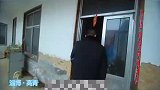抓鸡逮兔爱野味？非法狩猎被严惩