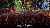 故宫出现200多只猫，成热门网红吸猫圣地，人们称为猫中保安