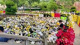 这就是国士的魅力，袁隆平追悼会外鲜花堆积如山