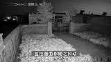 辽宁盘锦多地现巨响，屋内玻璃被震得抖动，110：系飞机音爆