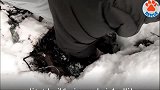 可怜小狗被埋在雪堆下面的垃圾里，被救时已经冻得没有狗样了