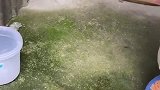 把老伴拿来装蛋的罐转给我了，要一千，大家觉得值这个价吗