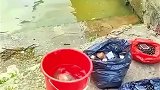 鱼验证一件事，即使深陷绝境也别放弃