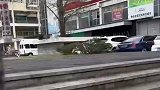 主人呼喊小狗的名字，小狗愣是没发现主人在哪