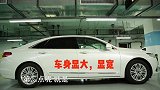 为什么买白颜色的车最好，老司机告诉你答案