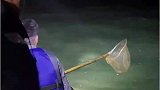 海上捕捞飞鱼，明明飞走了还飞回来