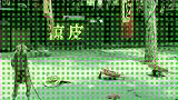 猴子展示才艺。