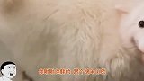 只要拥有妹子这样的身材，何愁找不到富二代男友