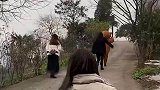 这波操作真是防不胜防啊！头疼