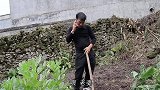 农村妻子进城当保姆，每月寄2万回家被丈夫怀疑，结局感动