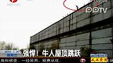强悍！牛人屋顶跳跃