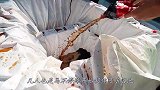 老外花式挑战，最后离开可乐池奖励一万美元，网友：闪开让我来！
