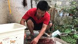 黄鳝下饭又解馋的做法，一口一条，一次做一盘，吃起来超过瘾