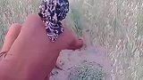 这么一大片，啥时候能干完哟
