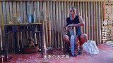 收养的流浪贵宾犬，估计前世就是它的主人，比小孩还听话
