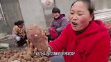 胖妹做个老蕨菜烧腊肉，配剩菜酸豆角，老公吃美了！