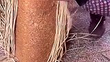 只有东北人才认识的东西