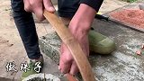 95岁奶奶不在家，孙子一家做了啥，看完这个视频就懂了