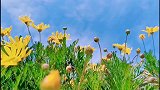 充满希望的一天