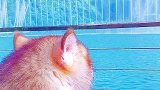 元气满满的一天