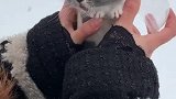 冬天里的暖手宝