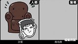 猫咪为啥爱钻纸箱咬数据线？1分钟带你猫眼看世界