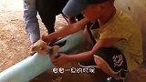 小牛犊被抛弃，躺在满是垃圾的河道里，奄奄一息的样子惹人怜